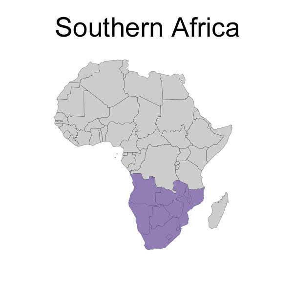 Southern Africa adapter plug map purple