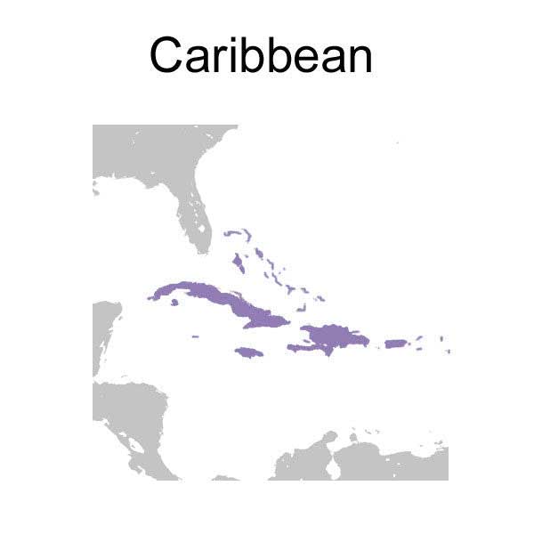 Caribbean adapter map purple