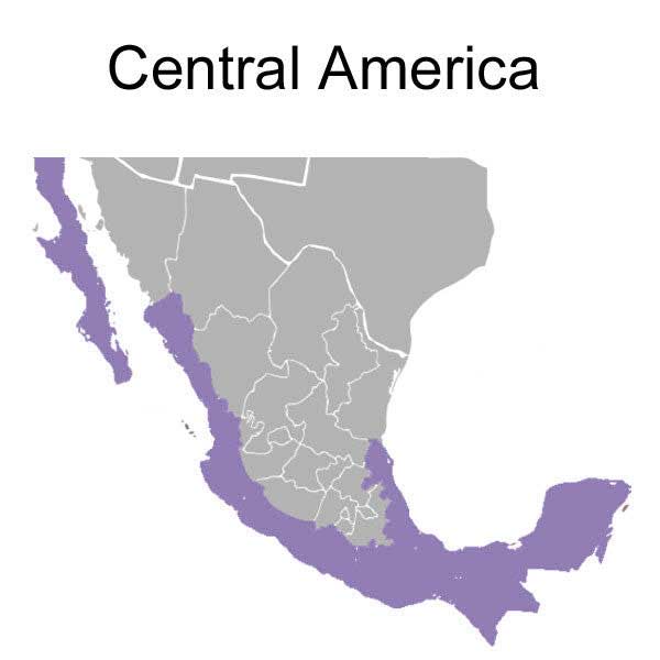 Central america adapter plug map purple