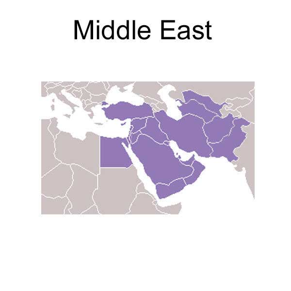 Middle East travel adapter plug map purple